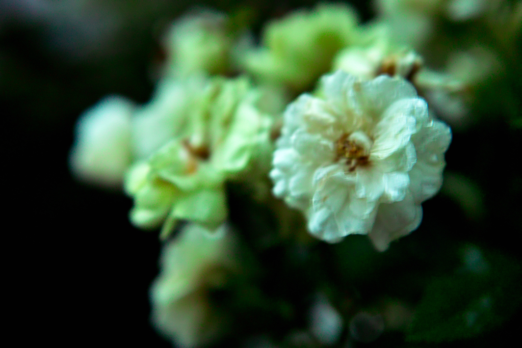 SDIM1819