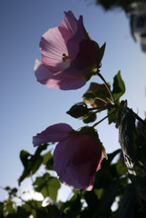P1040517
