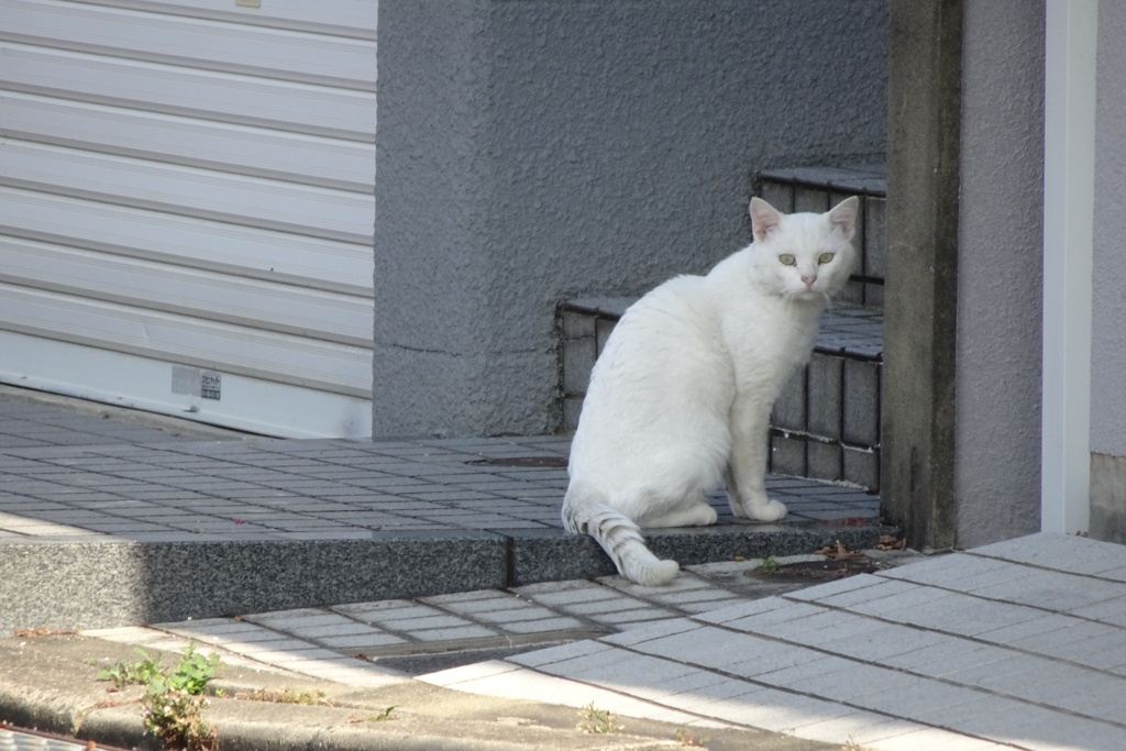 DSC01075