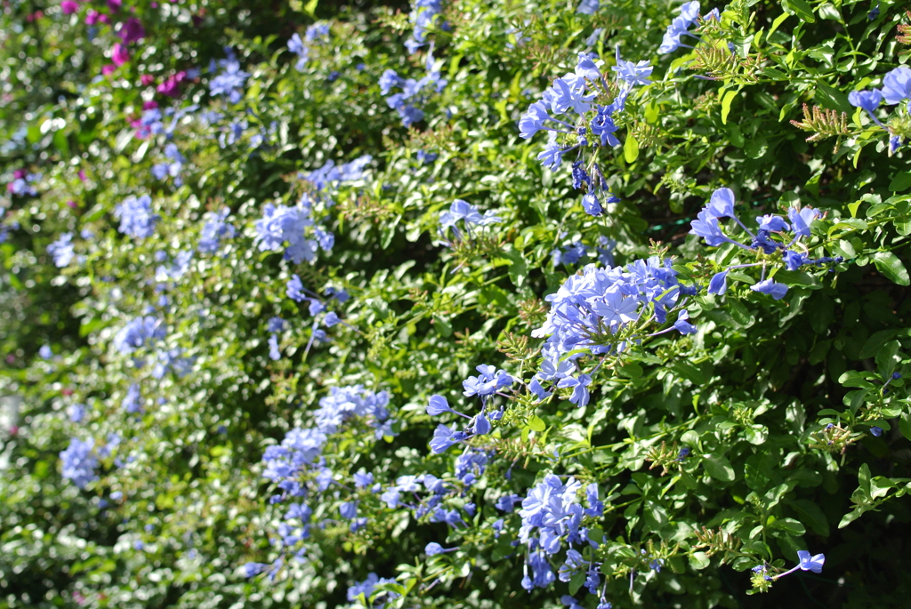 DSC_1568