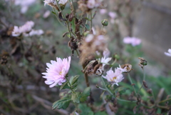 P1040554