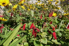 P1040547