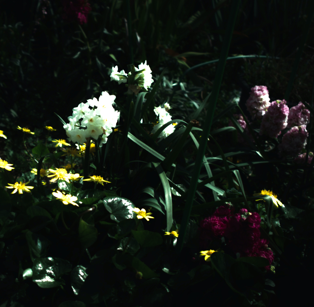 SDIM0135