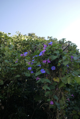 P1040608