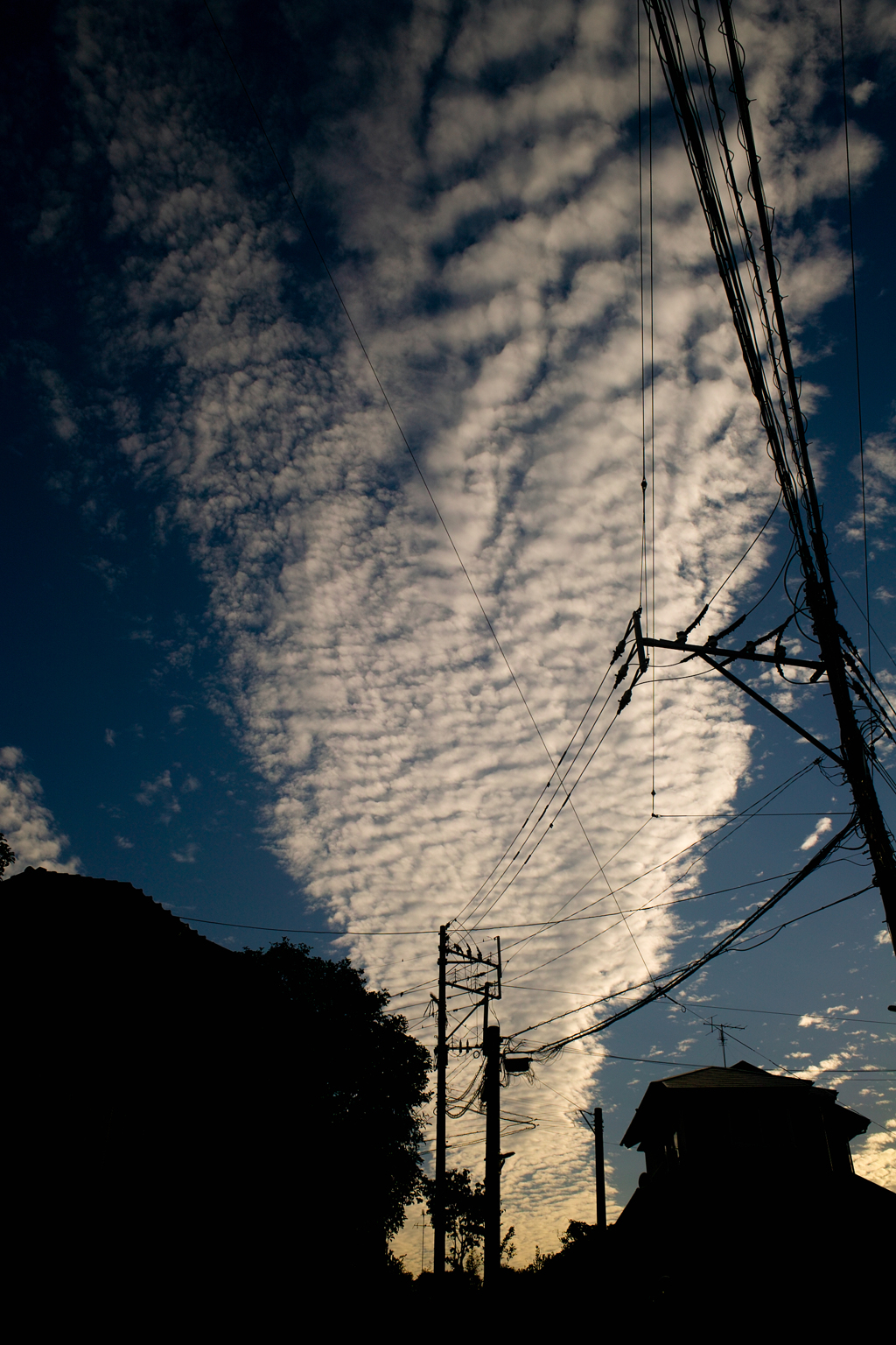 SDIM1394