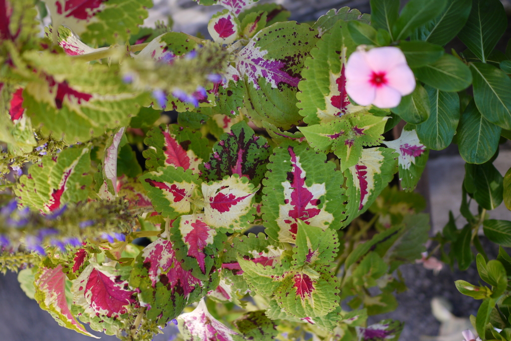 P1040568