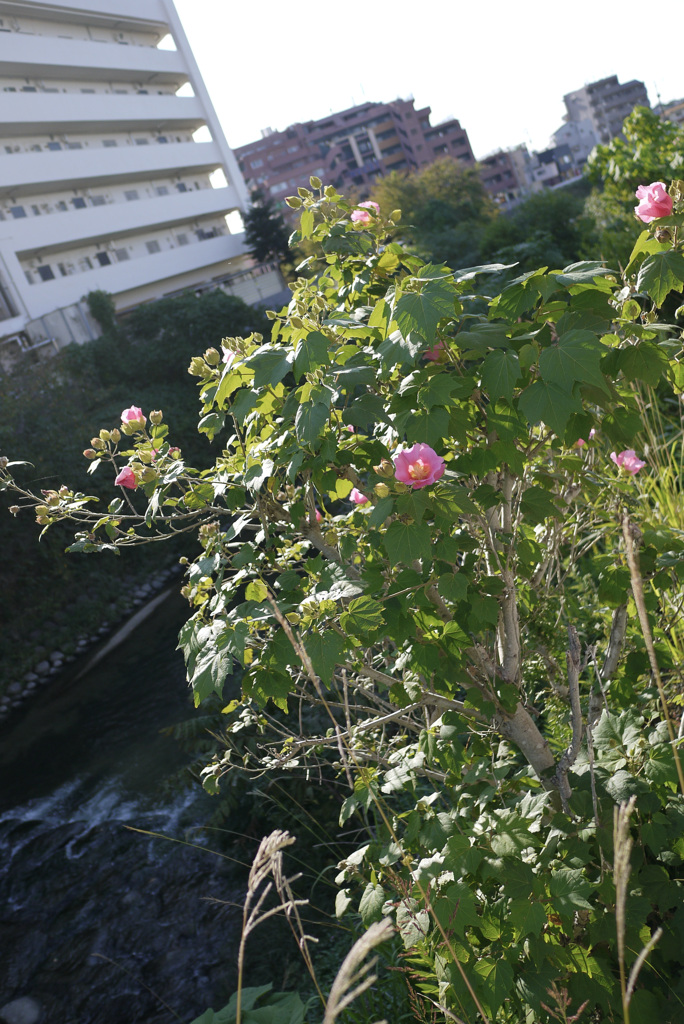 P1040515