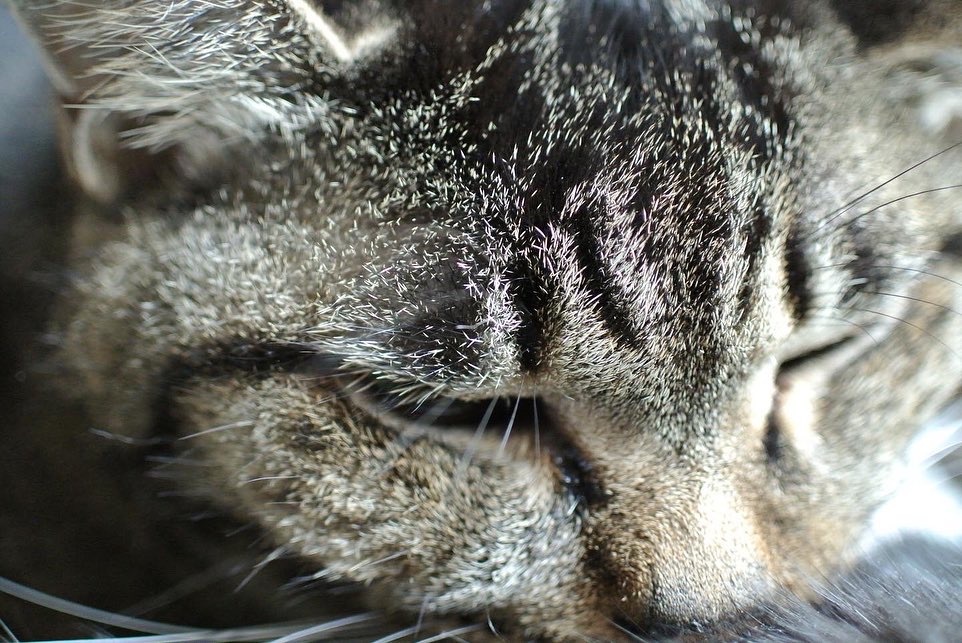 DAAEE09A-65BC-49B2-8115-AF7FE74885C8