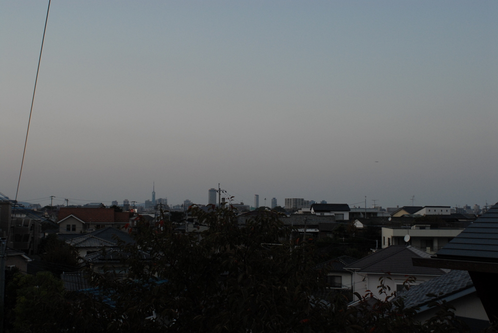 昨夕暮れ散歩 帰ったら待ってた