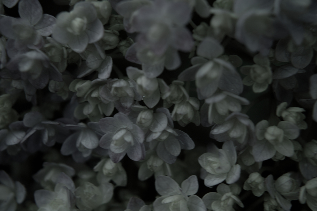 SDIM1826 2
