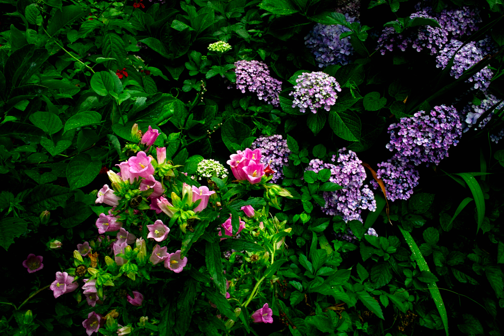 SDIM1220