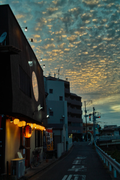 SDIM1699