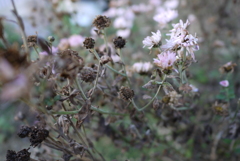 P1040552