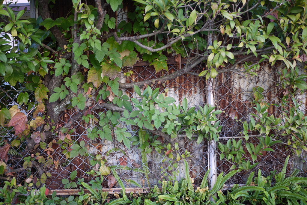 P1040560