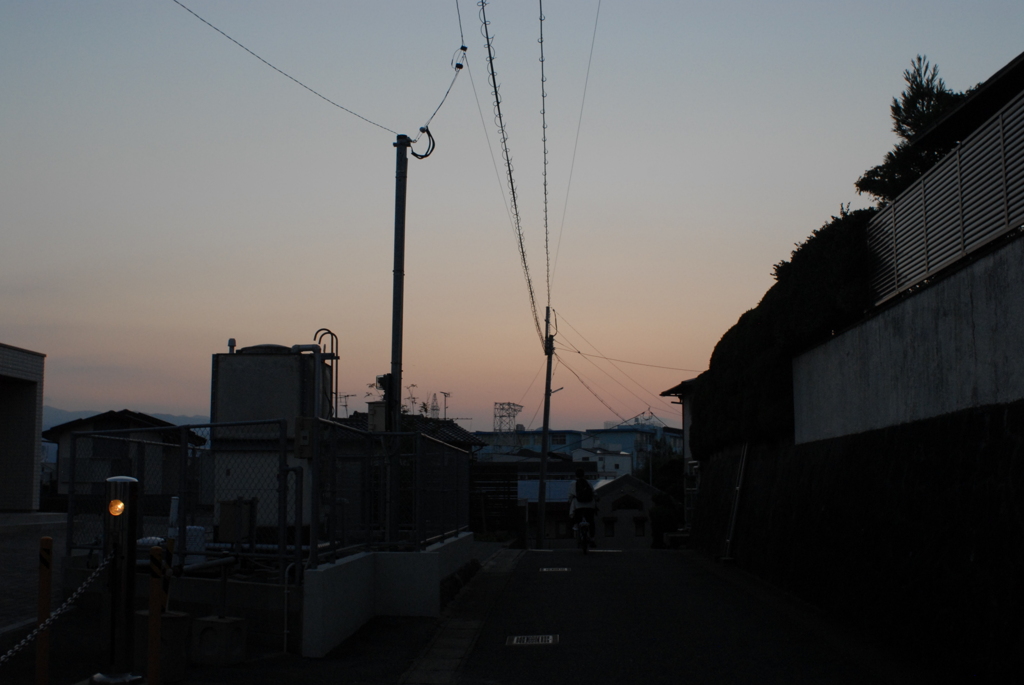 昨夕暮れ散歩 帰ったら待ってた