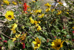 P1040546