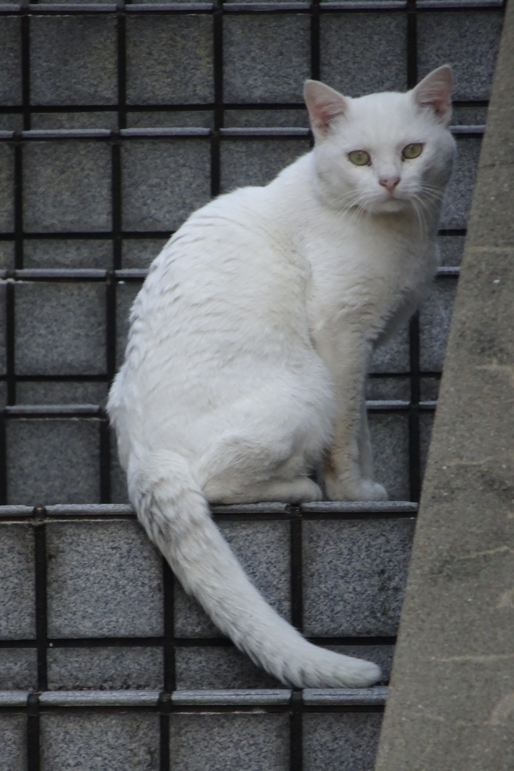 DSC01076
