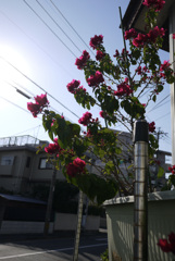 P1040512