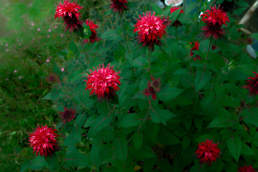 SDIM2122