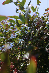 P1040548