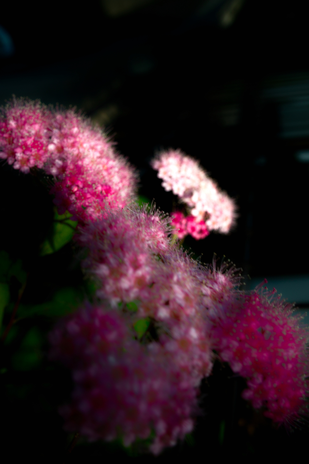 SDIM2048