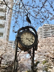 春 時を刻む時計台