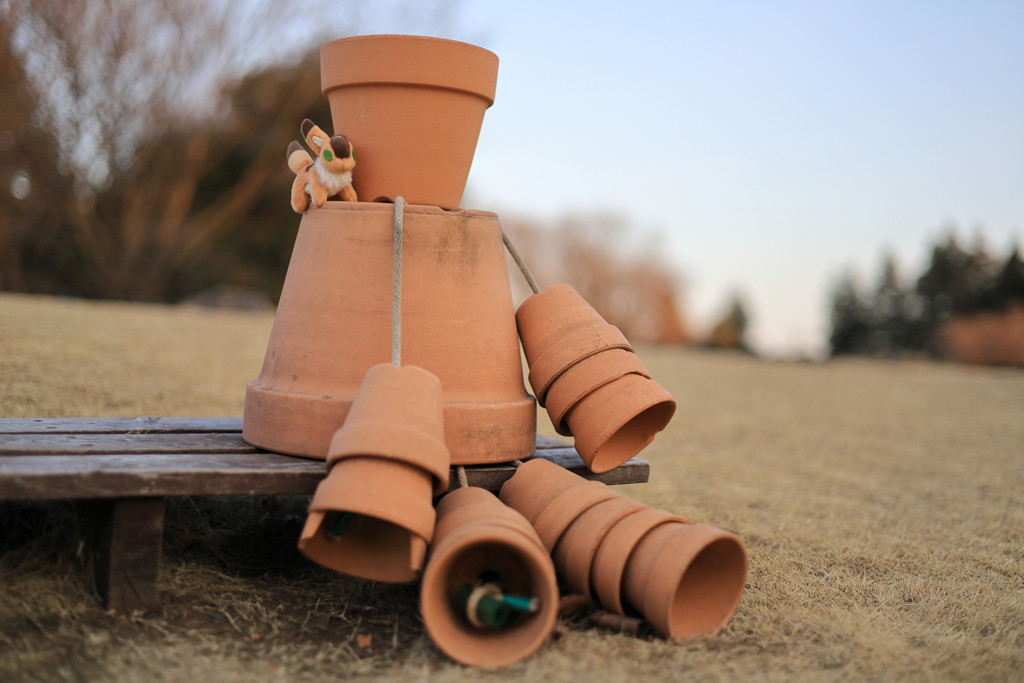 ポットドールとキツネリス