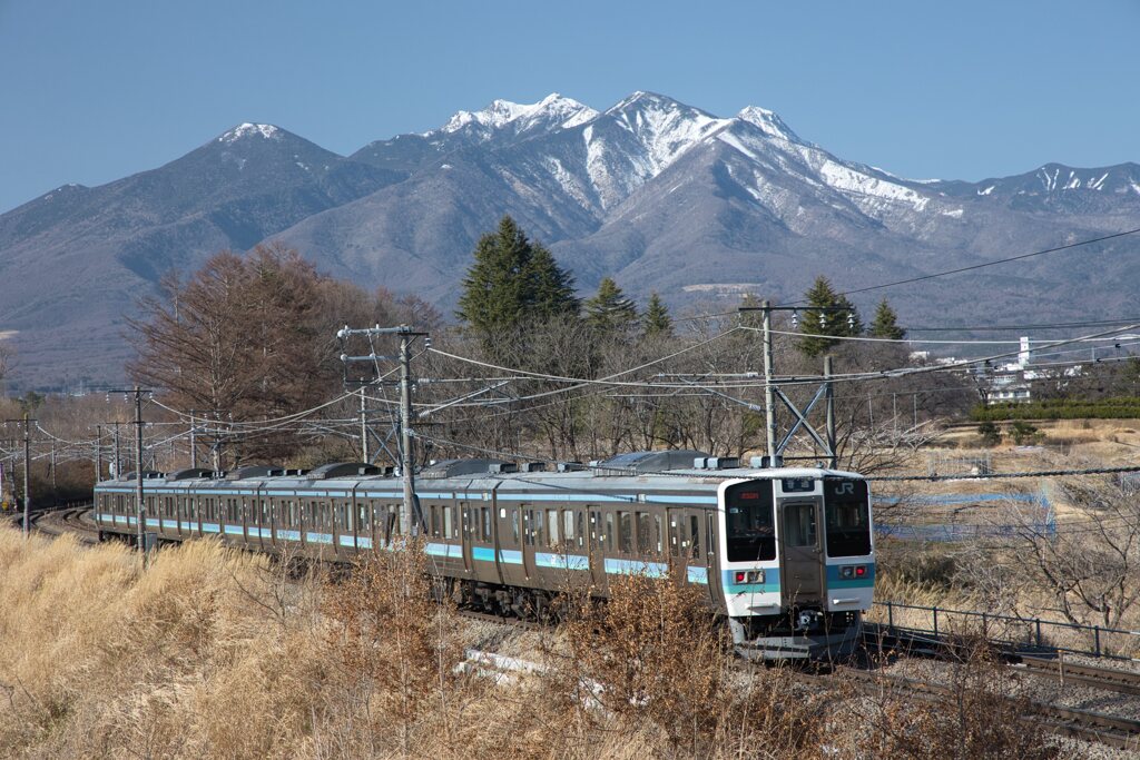 439M