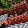 浅草寺
