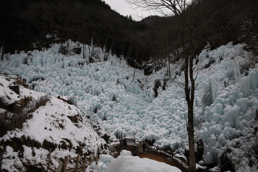芦ヶ久保　氷柱