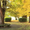 名もなき？小さな公園1
