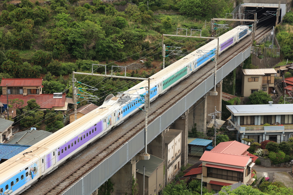 Wonderful Dreams Shinkansen