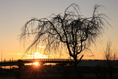 夕暮れ影絵1