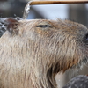 いい湯だな