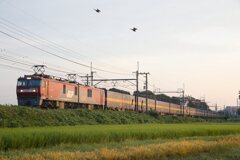 「貨物のブルートレイン」