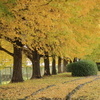 名もなき？小さな公園2
