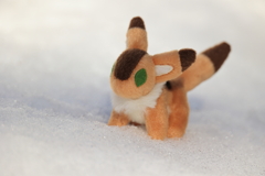 雪上のキツネリス