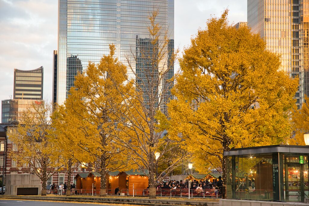 ライトアップ開始