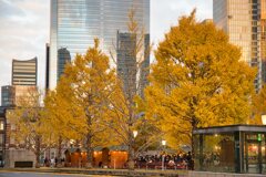 ライトアップ開始