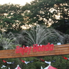 Enjoy Honda