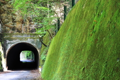 トンネルと緑の壁