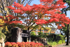 大宮公園