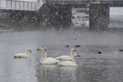 右　左　正面　右　右