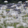 花道