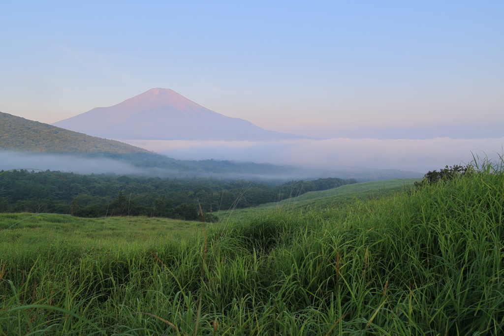 富士山と山中湖雲海