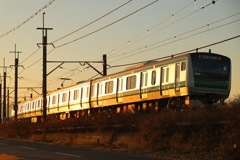 ギラリ