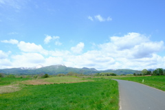 道③