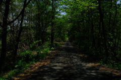 道②