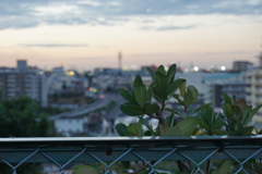 DSC00342