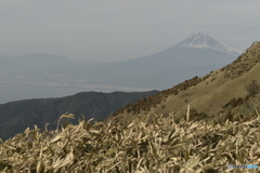 霞む富士山と街並み